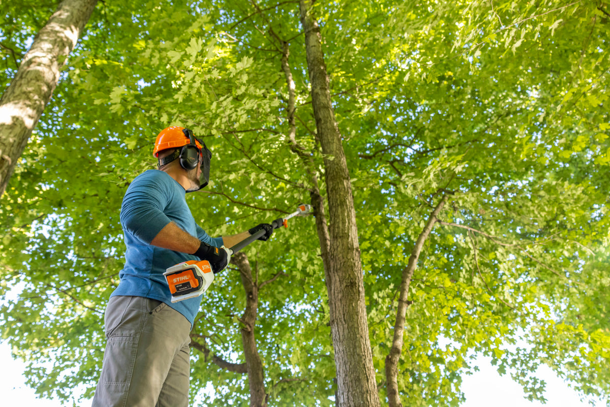 STIHL HTA 50 pole saw detail