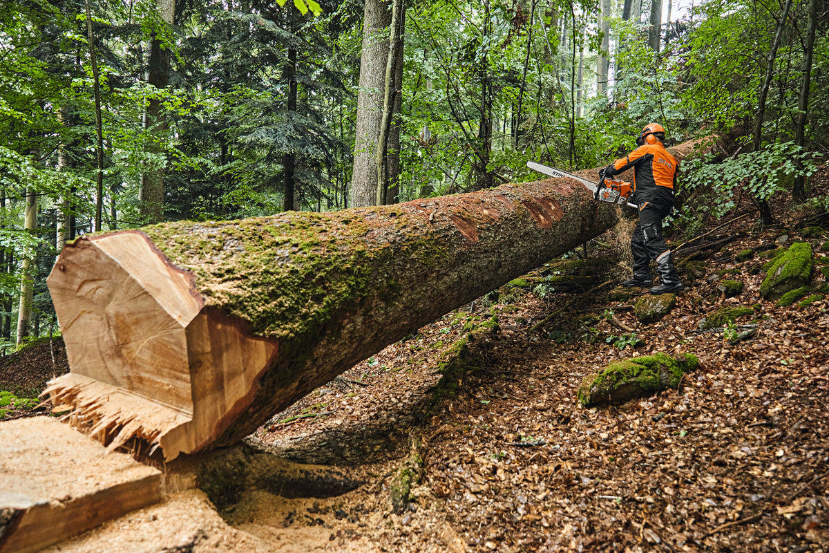 STIHL MS 881 Magnum chainsaw detail